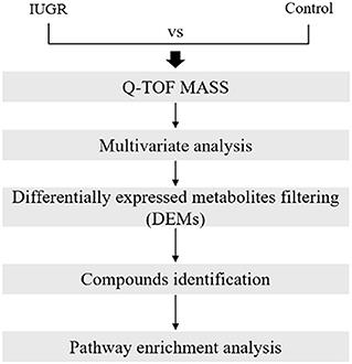 Effects of uteroplacental insufficiency on growth-restricted rats with altered lung development: A metabolomic analysis